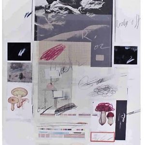 Cy Twombly Natural History, Part 1, Mushrooms n. X