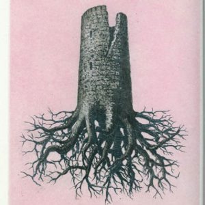 René Magritte, La Folie Almayer ou l’Arbre Rose